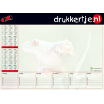 Desk Pad  A3 (Size 420 x 297 mm) 25 sheets