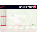 BUREAU ONDERLEGGER A2 (FORMAAT 594 x 420 mm) 25 vel