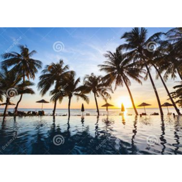 Tuindoek palmbomen (1060)