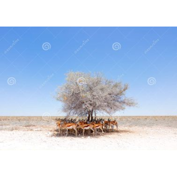 Tuindoek Hertjes bij Boom (1140) 70 cm x 100 cm