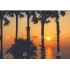 Tuindoek palmbomen sunset  (1120)    50 cm x 70 cm