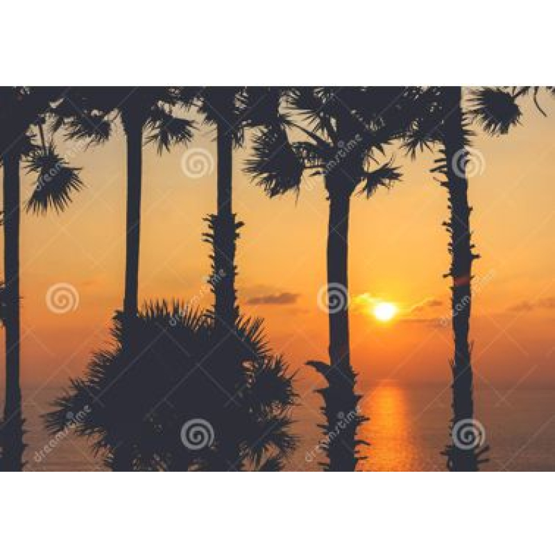 Tuindoek palmbomen sunset  (1120)    50 cm x 70 cm